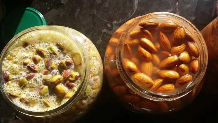 sprouted-nuts-3