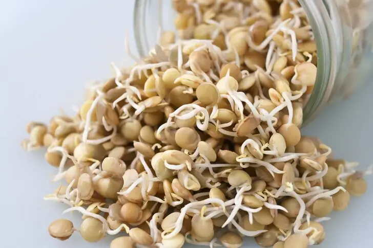 sprouted-nuts-2