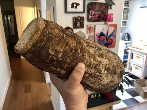 Ever Heard of The Creamy Root Vegetable Malanga? You’re Truly Missing Out